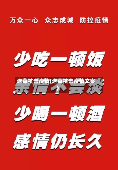 送菜抗击疫情(送菜抗击疫情文案)-第2张图片