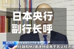 日本央行副行长呼吁对全球货币体系采取“整体性方法”-第2张图片