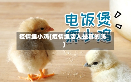 疫情埋小鸡(疫情埋活人是真的吗)