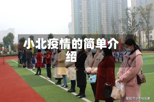 小北疫情的简单介绍