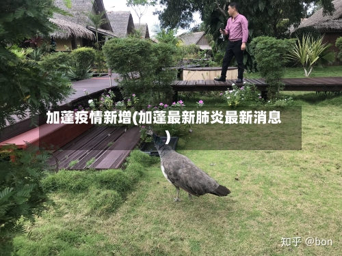 加蓬疫情新增(加蓬最新肺炎最新消息)