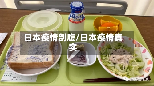 日本疫情剖腹/日本疫情真实-第3张图片