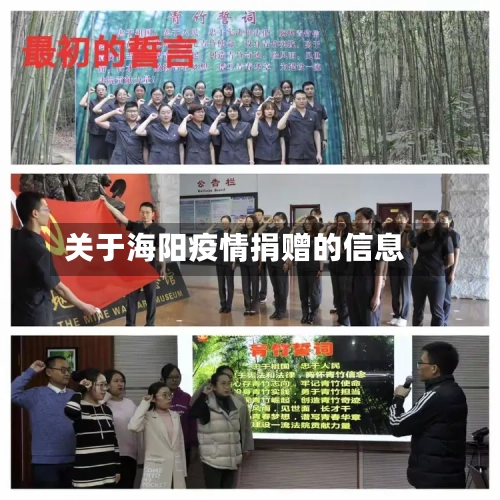关于海阳疫情捐赠的信息