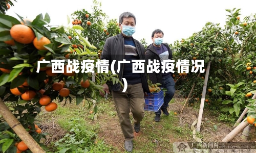 广西战疫情(广西战疫情况)