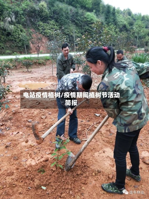 电站疫情植树/疫情期间植树节活动简报