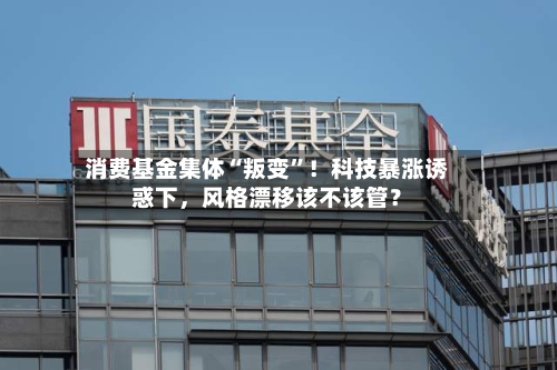 消费基金集体“叛变”！科技暴涨诱惑下，风格漂移该不该管？-第3张图片